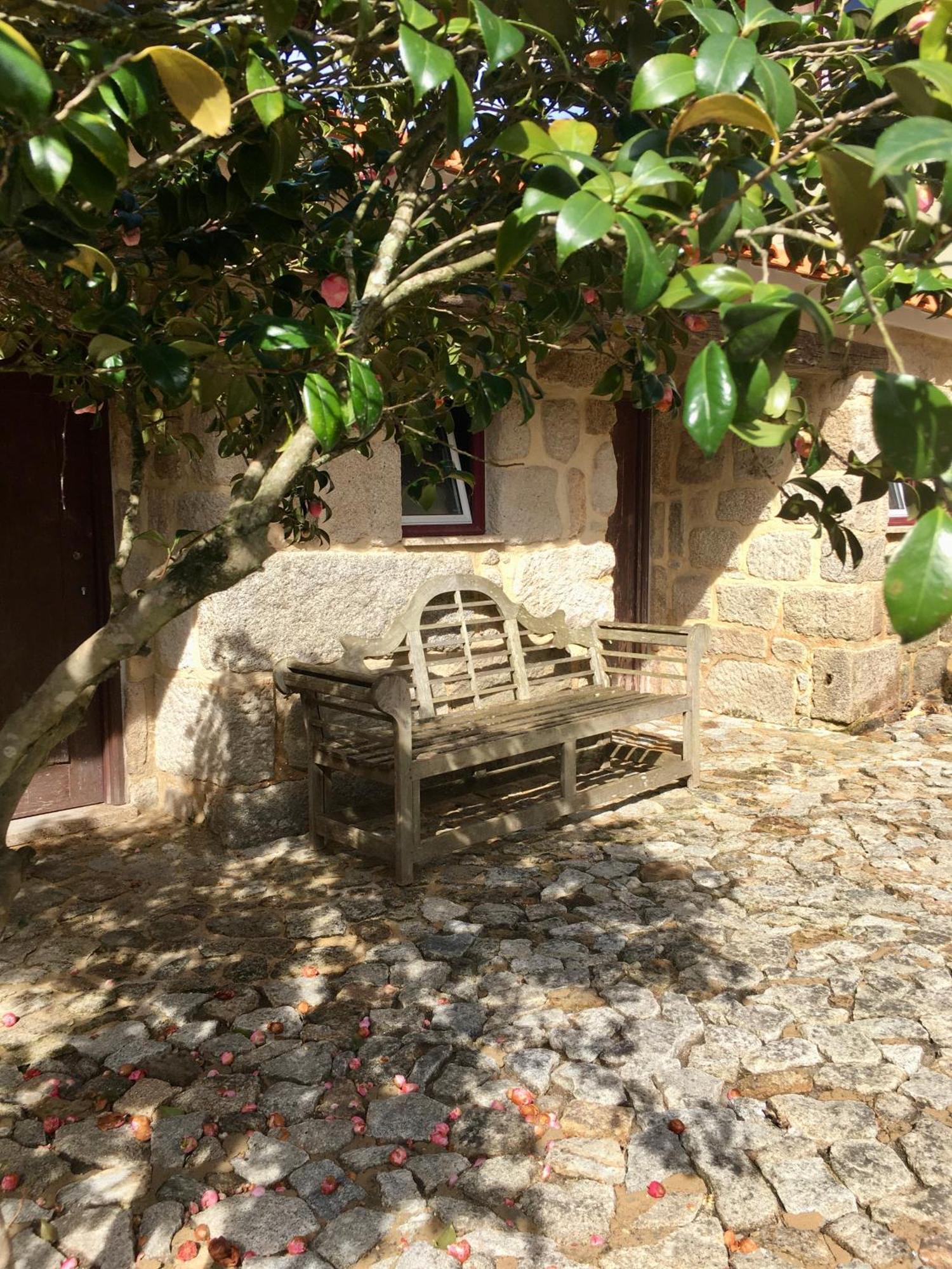Hotel Quinta De Mocamedes - Turismo De Habitacao Vouzela Exterior foto